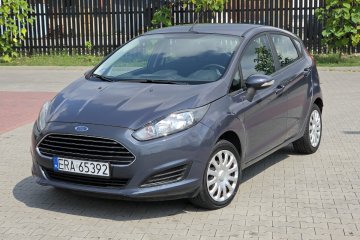Ford Fiesta 1. 0 Benzyna | 2015 r. | bdb stan / 5 drziw